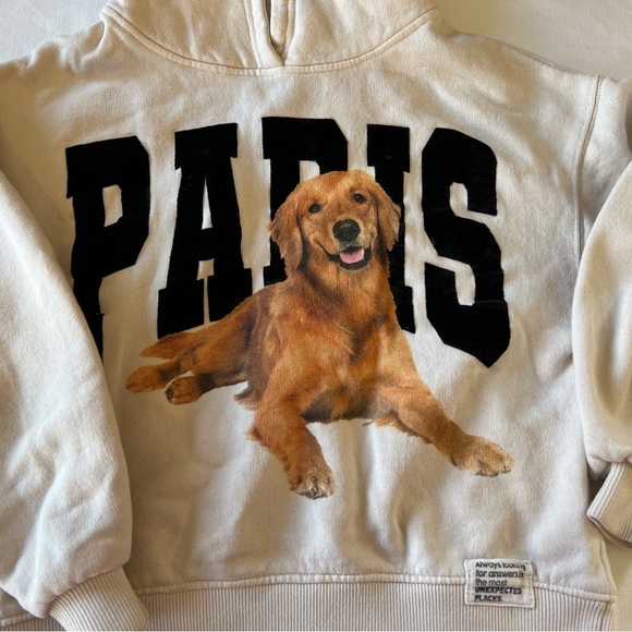 Zara kids Golden Retriever Paris Hoodie size 9 - Picture 12 of 13